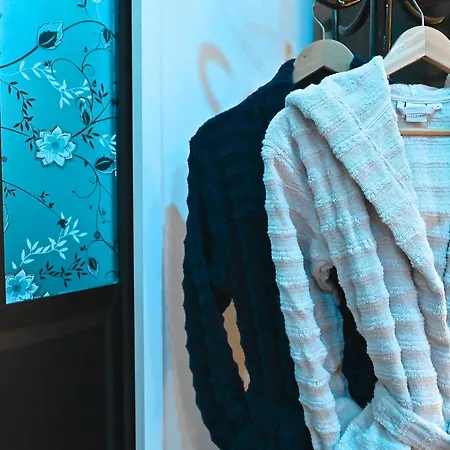 Appartement Cite Saint Paul Terrasse Parking Clim Wifi Sauna Cannes