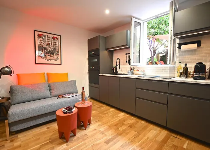 Cite Saint Paul Terrasse Parking Ac Wifi Sauna Bbq * Cannes